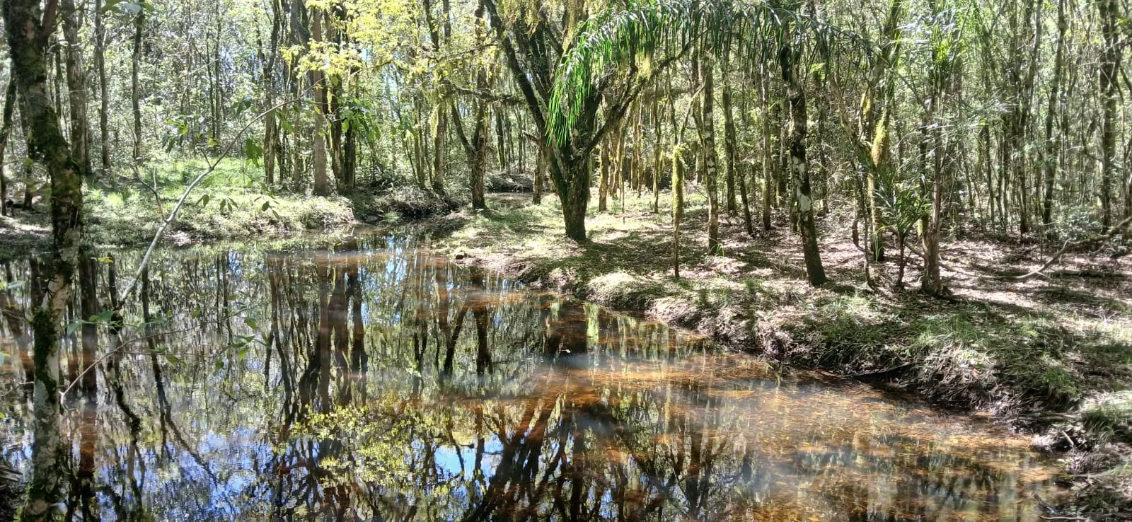 Chacará á venda - Nova Petrópolis